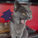 rubyserpentine avatar