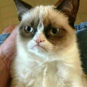 rudegrumpycat avatar