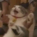 ruewritesstuff8 avatar