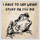 ruff-n-tumble-boy avatar