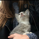 ruhsuz-1hatun-blog avatar