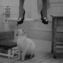 ruhumkadarkaranlik avatar