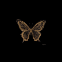 ruhumyorgunsblog avatar