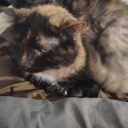 ruineapssolace avatar