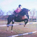 rulenumberone-horses avatar