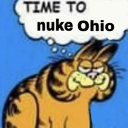 rumblebumbletumble avatar