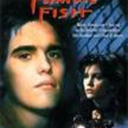 rumblefishconfessions-blog avatar