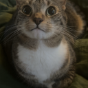 ruminant-overlord avatar