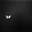ruminartion avatar