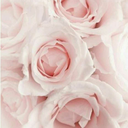 runaway-fiction avatar