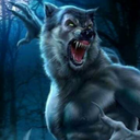 runik-wolfkin avatar