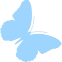 runkkuperhonen avatar