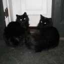 runn1ngcontradiction avatar