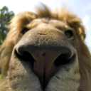 running-in-the-rain-blog avatar