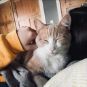 running-on-emtpy avatar