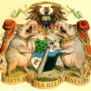 running-on-narrativium avatar