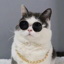 running-ropes avatar