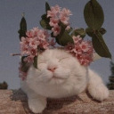 running-skies avatar