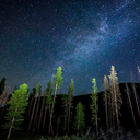 runningtoandfromme avatar