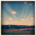 runrideandabide avatar