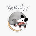 ruotsalainen-kettu avatar