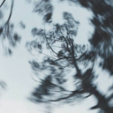 rushergenesis avatar