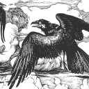 russia-libertaire avatar