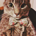 russianshemale avatar