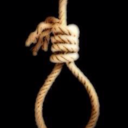 russopitblogs avatar