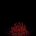 rustandvelvet avatar