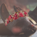 rustic-oak-mori avatar