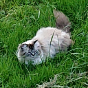 ruthell-aaaaaaaaa avatar