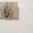 ruxisartblog96-blog avatar