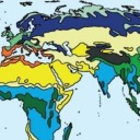 ruyalar-gemisii avatar