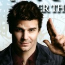 rxndomfxndoms avatar