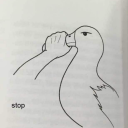 ryan-dandelion avatar