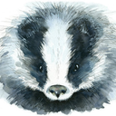 rynbadger avatar