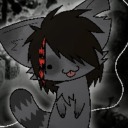 rynraccoon avatar