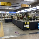 rynxalovusyou avatar