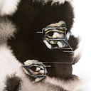 s-clara-blog1 avatar