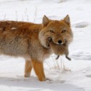 s-p-a-r-k-l-y avatar