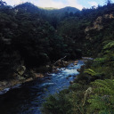 s-t-u-tt-e-r-i-n-g avatar