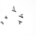 s-u-n-r-a-y-blog avatar