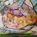 s0ft-cens0rship avatar