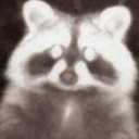 s0fter-soft3st avatar