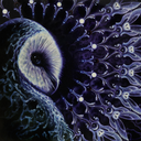 s0m30n3crazy-blog avatar