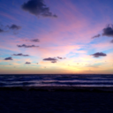 s2bballfanatic avatar