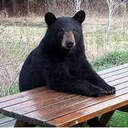 saaae-blog1-blog avatar