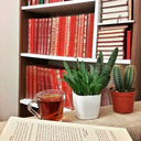 saadet-idareyn avatar