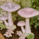 saartification avatar